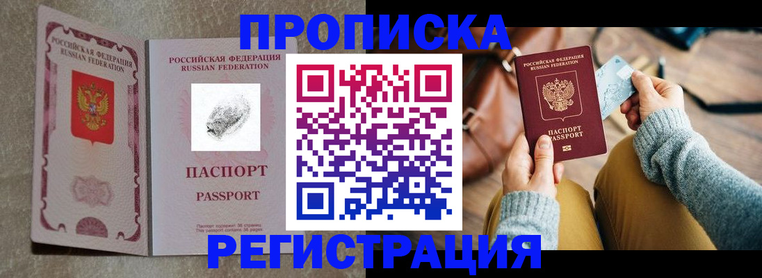 прописка поиск в Кингисеппе